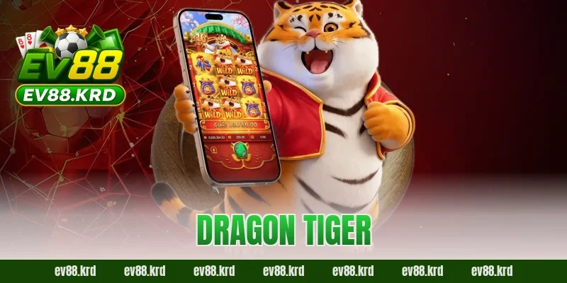 Dragon Tiger – Game bài tốc độ, kịch tính bậc nhất châu Á 7 Dragon Tiger – Game bài tốc độ, kịch tính bậc nhất châu Á